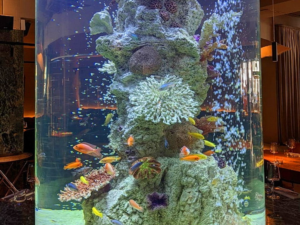 3D фон для аквариума цилиндрической формы