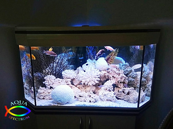 Угловой аквариум Бриз AquaTech