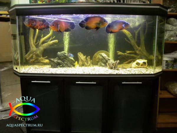 Пресноводный аквариум 600 литров