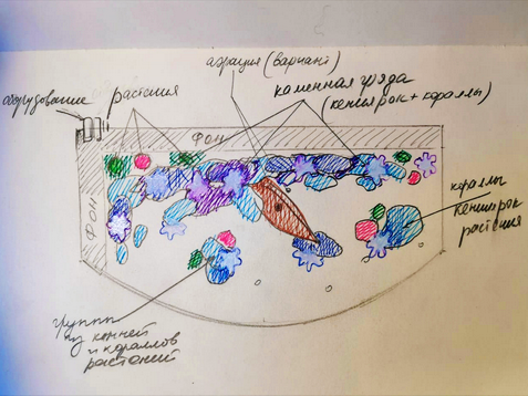 Схема оформления аквариума