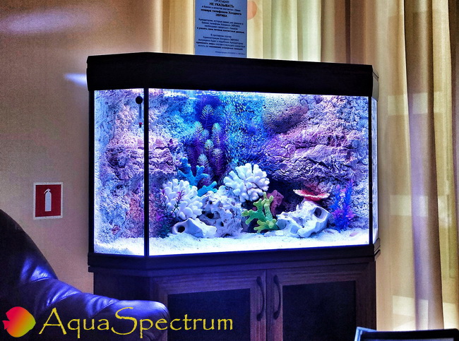 Угловой аквариум Бриз с рельефным 3D фоном Red Sea