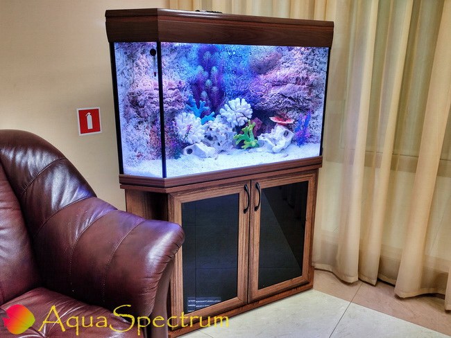 Угловой аквариум 250 литров оформленный в стиле псевдоморе