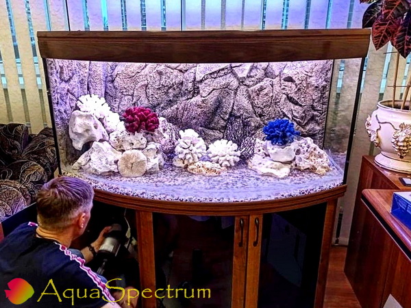 Пресноводный аквариум объёмом 400 литров оформленный в стиле псевдоморе