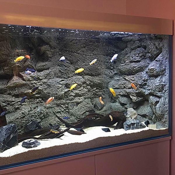 Объёмный 3D фон Malawi Black в аквариуме с цихлидами