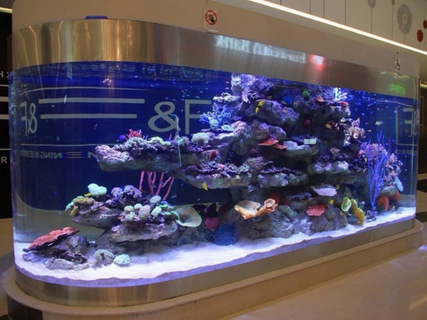 Рельефный композиция установленая в морском аквариуме