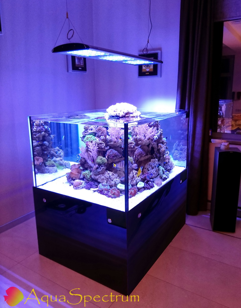 Морской аквариум объёмом 1000 дитров