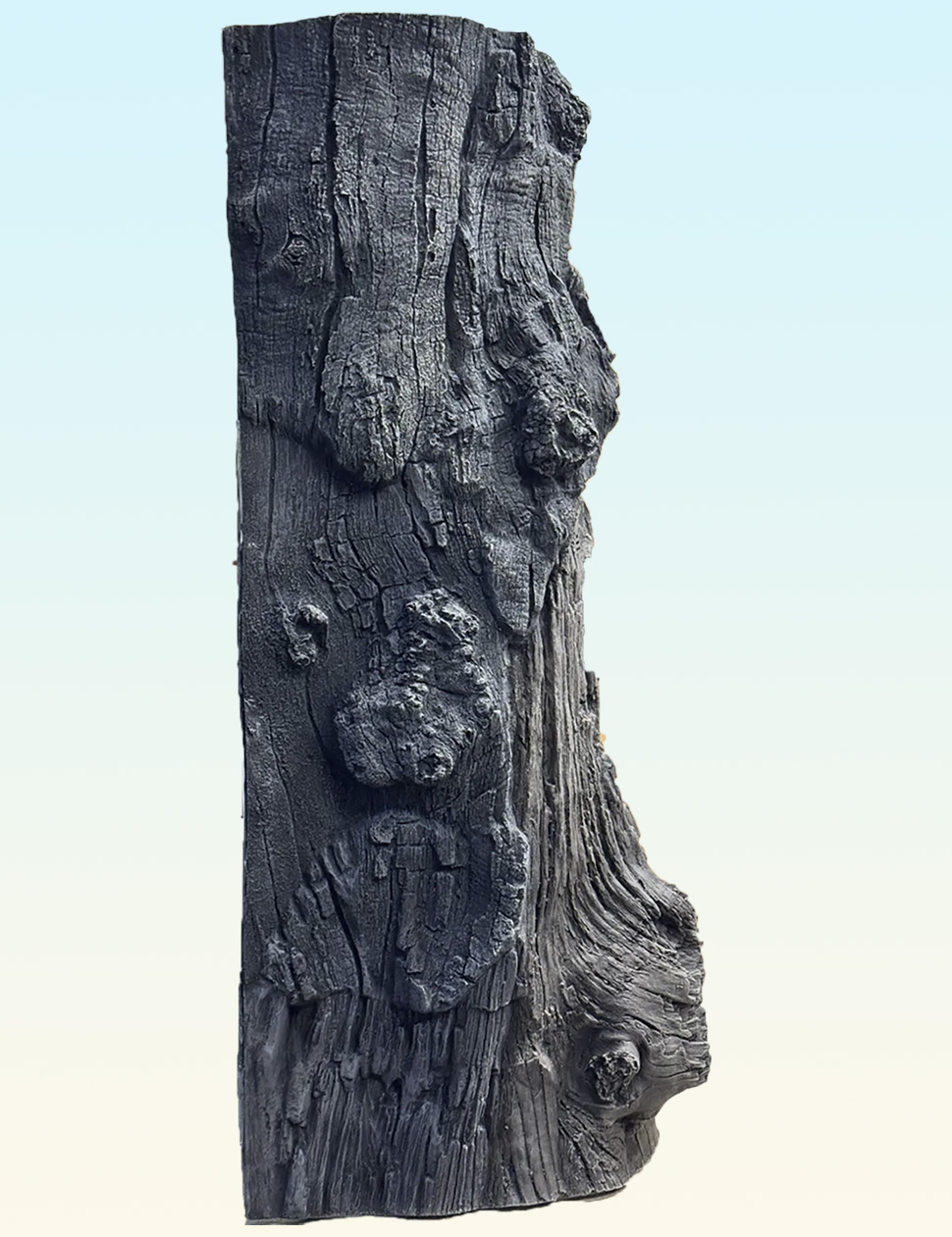 Заказать 3D модуль Ebony