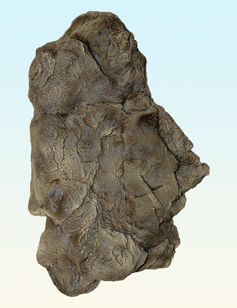 Купить 3D модуль Y