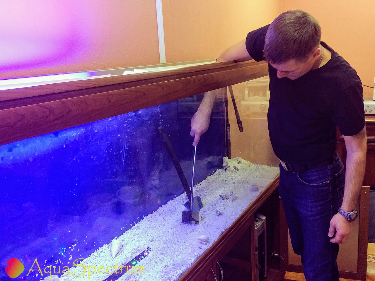 Оформление аквариума объёмом 500 литров после переезда