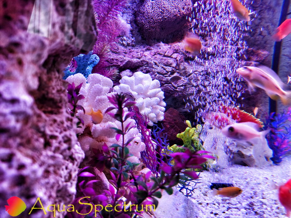 Угловой аквариум с рельефным 3D фоном